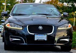 Photo Gallery - Where are the XFs?-1385230_10200913787709477_83948920_n.jpg