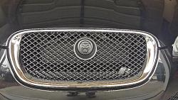 Blacked out grille - Plastidip DIY How To with Pics-20140104_152111_richtonehdr_zps12omlyhy.jpg