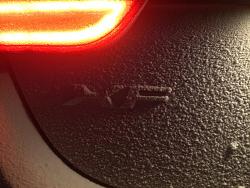 Photo Gallery - Where are the XFs?-593d2878-4c13-441d-98cb-b3ec9ffb8fa6.jpg
