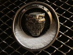 Photo Gallery - Where are the XFs?-9f4f6ef8-1ae6-411e-9f97-2740a6bb27f3.jpg