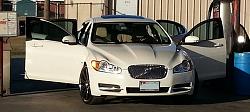 Photo Gallery - Where are the XFs?-16077134_large-1.jpeg