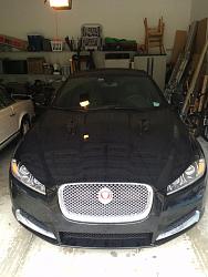 Photo Gallery - Where are the XFs?-image.jpg