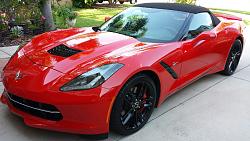 Traded XF SC for This Red Wagon-stingray-home.jpg