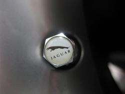Which logo valve caps are safe to use?-edobernig-107535-albums-pedals-valve-stem-caps-4349-picture-valve-stem-cap-jaguar-leaper-12551.jpg