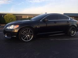 Photo Gallery - Where are the XFs?-image.jpg