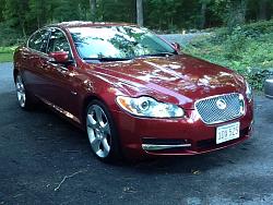 Photo Gallery - Where are the XFs?-image.jpg