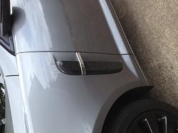 2009 Carbon Mirror Caps-image.jpg