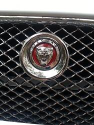 Red grille Jaguar badge-growler-painted.jpg