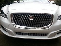 Red grille Jaguar badge-growler-red.jpg