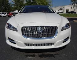 Red grille Jaguar badge-xj-front.jpg