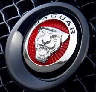 Red grille Jaguar badge - Jaguar Forums - Jaguar Enthusiasts Forum