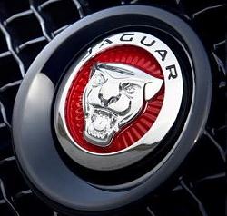 Red grille Jaguar badge-growler-new.jpg