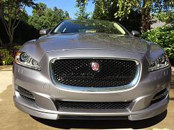 Red grille Jaguar badge-img_1086.jpg