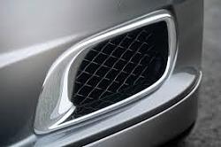 Red grille Jaguar badge-images.jpg