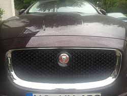 I bought the wrong Caliper covers-image-639638282.jpg