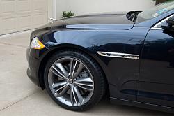 The Leaper has Arrived-jaguar-12.jpg