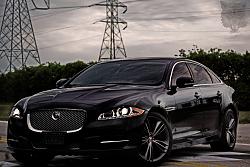 My Photo shoot-jag1.jpg