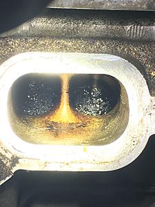 Jaguar intake valve carbon build up-img_0533.jpg