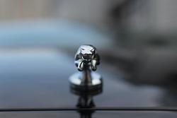 My new jag-img_53601.jpg