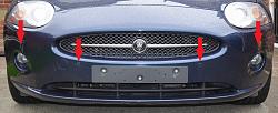 Front Euro plate-xk-plinth.jpg