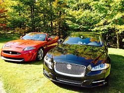 2 cats in the driveway-2-jag-d.jpg