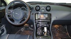 2 cats in the driveway-xj_05.jpg