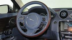 2 cats in the driveway-xj_06.jpg