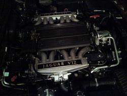 The 14-year warranty-mighty-v12.jpg