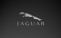 What did you do to your X350/X358 today?-jaguar-emblem-2.png