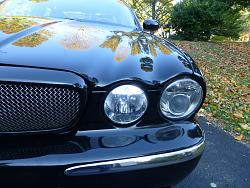 DRL - Any Suggestions?-p1080077.jpg