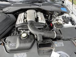 Changed the supercharger oil today-air-elbow-noise-suppressors.jpg