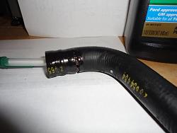 Power Steering Fluid for 2006 XJR-reservoir-power-steering-pump-hose.jpg