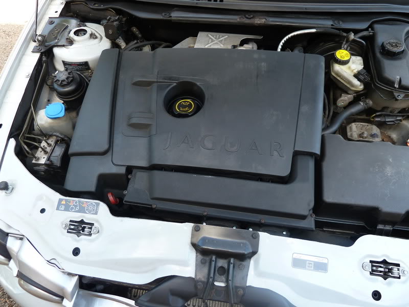 Name:  P1000937.jpg
Views: 7230
Size:  84.7 KB