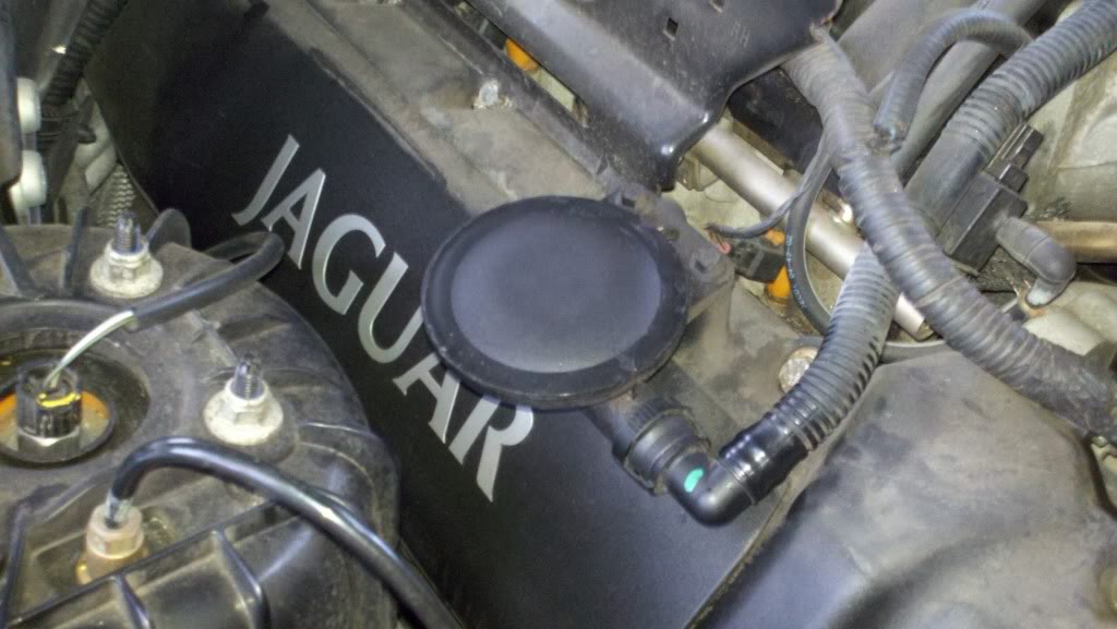 Name:  Jaguar-1.jpg
Views: 237
Size:  84.1 KB