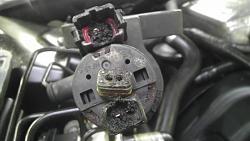 Funny thing happened on the way from....-imag0041.jpg