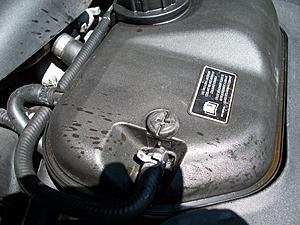 still losing coolant-100_4068.jpg