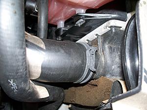 still losing coolant-100_4070.jpg