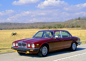 X350 compared to older XJ sedans-85-sovereign-pea-ridge-military-park-3-7-10-small.jpg
