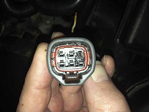 Fuel Trims Bank 2 - P0405?-wiring-loom-egr-female-connector.jpg