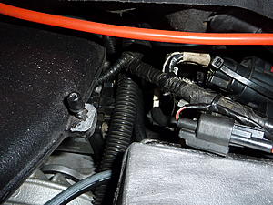 crank case vent tube where does it connect?-p1000103.jpg