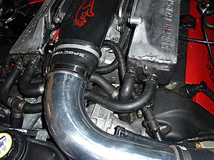 crank case vent tube where does it connect?-p1000102.jpg