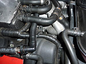 crank case vent tube where does it connect?-p1000100.jpg