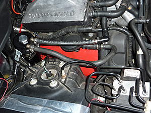 crank case vent tube where does it connect?-p1000104.jpg
