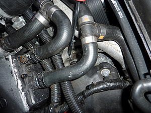 Is this a bad alternator?-p1000115.jpg