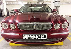 Radiator Grille Debate-jaguar-xj8l-grille-mesh-3a.jpg