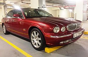 Radiator Grille Debate-jaguar-xj8l-grille-mesh-5a.jpg