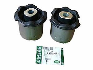 What is a Hydrabush?-rhw9vkr.jpg