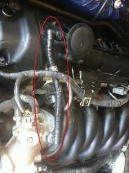 wtf is a pcv valve called in England?-hose.jpg