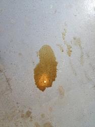 What is this?-img_0572.jpg