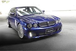 Jaguar Wald Black Bison-image-2430478712.jpg